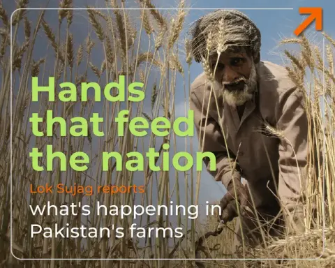 Hands that feed the nation — Pakistan's farms