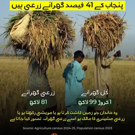 پنجاب میں زراعت آج بھی 81 لاکھ سے زائد خاندانوں کے روزگار کا سہارا ہے
