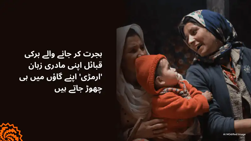 ہجرت کے ساتھ برکی قبائل اپنی مادری زبان ارمڑی کیوں کھو رہے ہیں؟