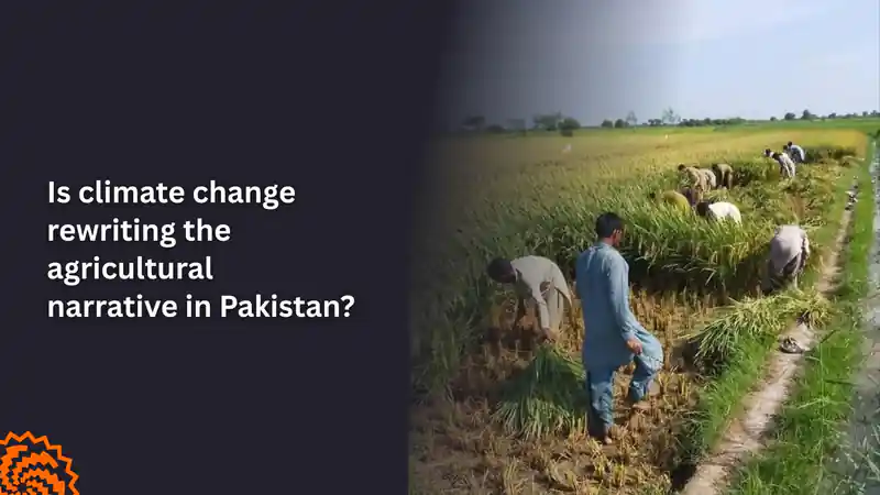 Is Climate Change Rewriting Pakistan's Agricultural Future?