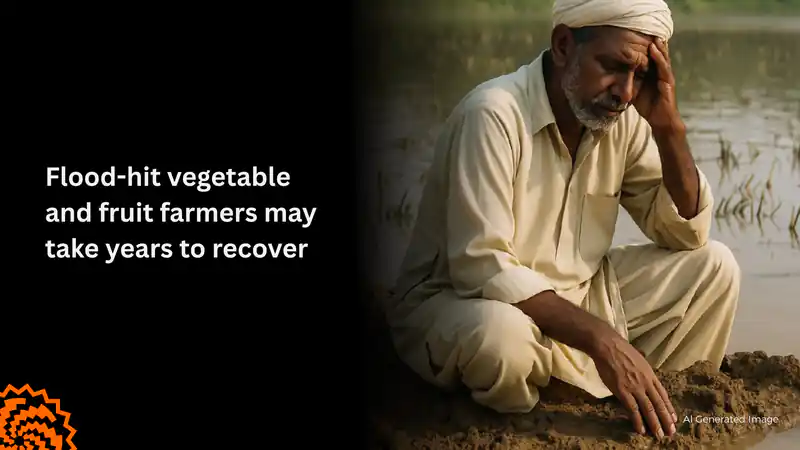 Flood-Hit Fruit and Vegetable Farmers Face Years of Recovery